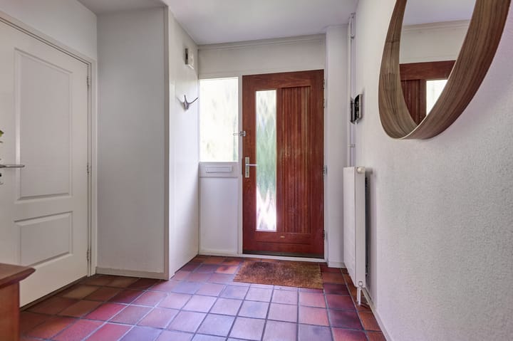 Foto 12 van Heelblaadjespad 9