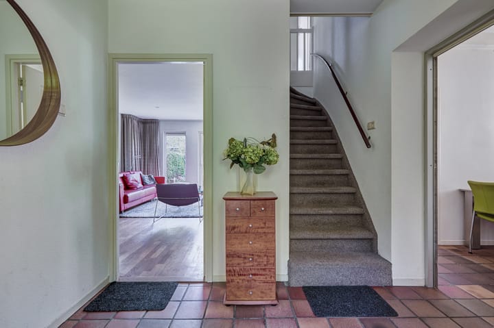 Foto 14 van Heelblaadjespad 9