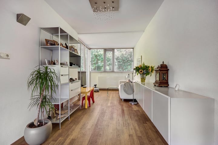 Foto 19 van Heelblaadjespad 9