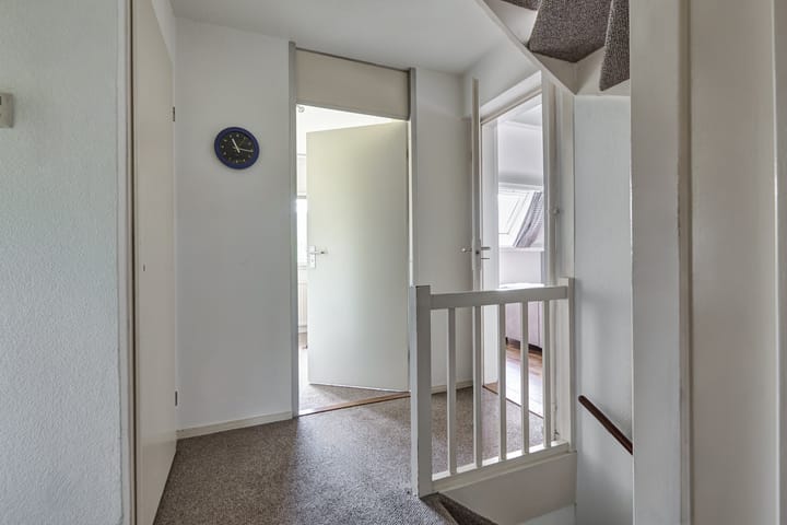 Foto 30 van Heelblaadjespad 9