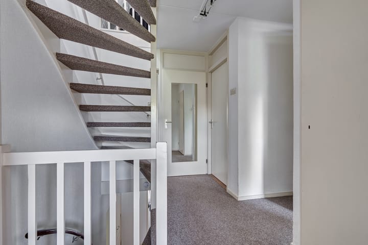 Foto 31 van Heelblaadjespad 9