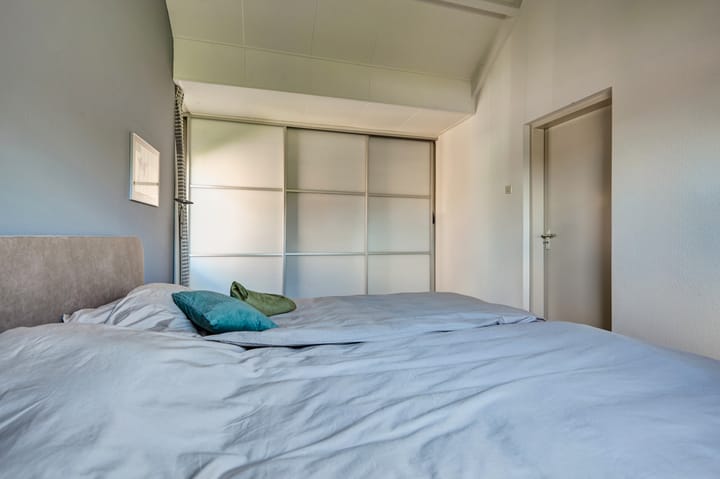 Foto 36 van Heelblaadjespad 9