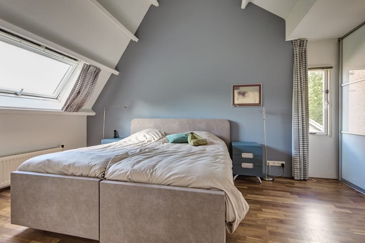 Foto 37 van Heelblaadjespad 9