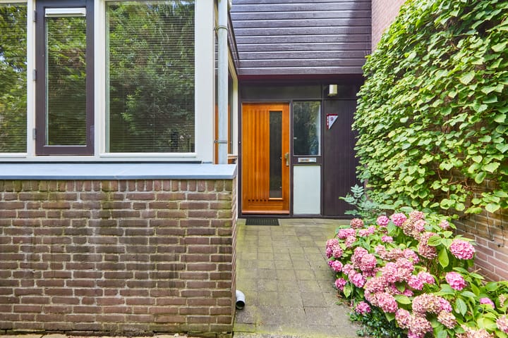 Foto 10 van Heelblaadjespad 9