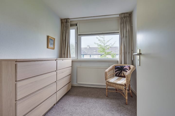 Foto 41 van Heelblaadjespad 9