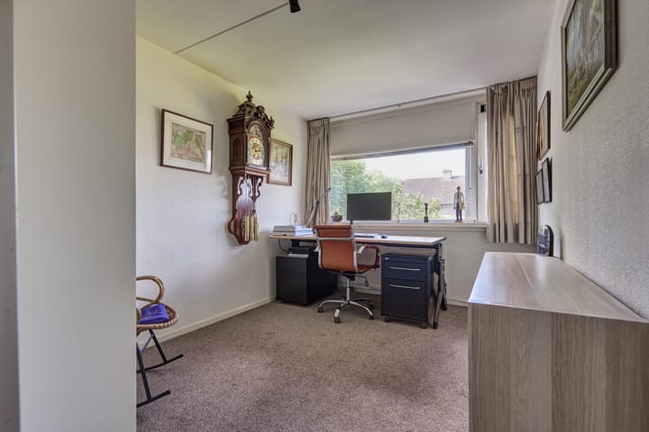 Foto 43 van Heelblaadjespad 9