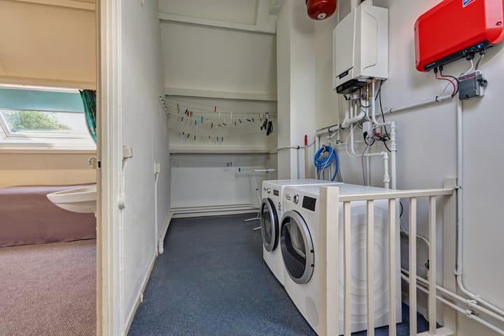 Foto 49 van Heelblaadjespad 9