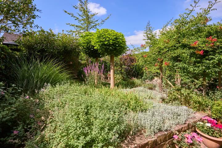 Foto 57 van Heelblaadjespad 9