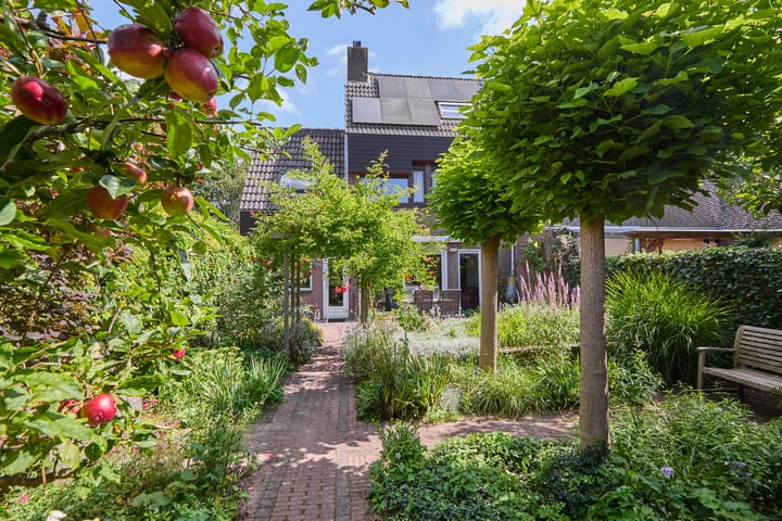 Foto 56 van Heelblaadjespad 9