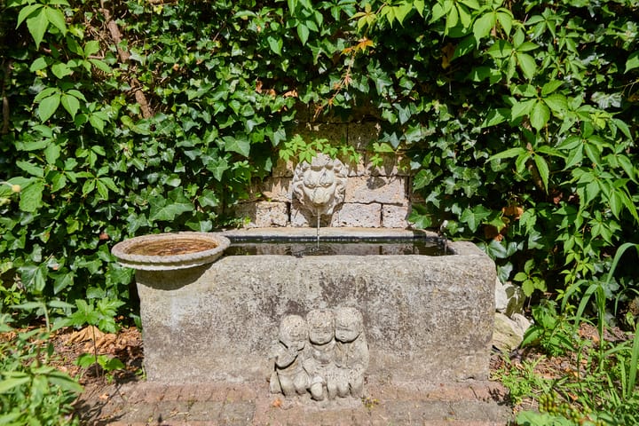 Foto 61 van Heelblaadjespad 9