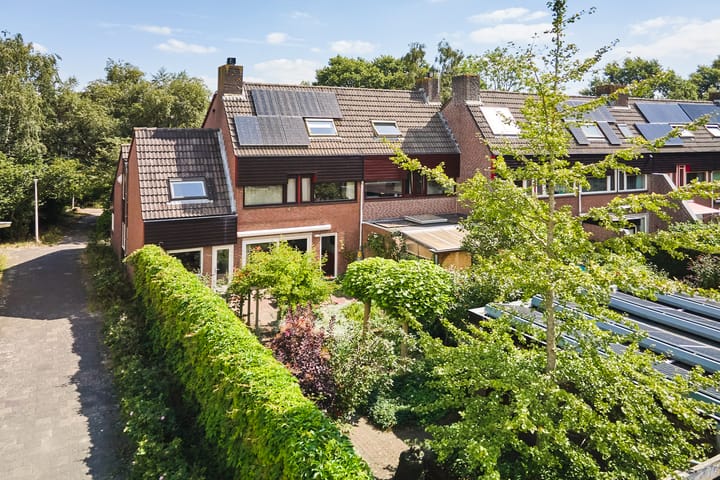 Foto 63 van Heelblaadjespad 9