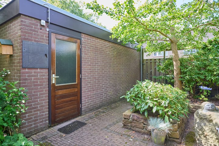 Foto 62 van Heelblaadjespad 9