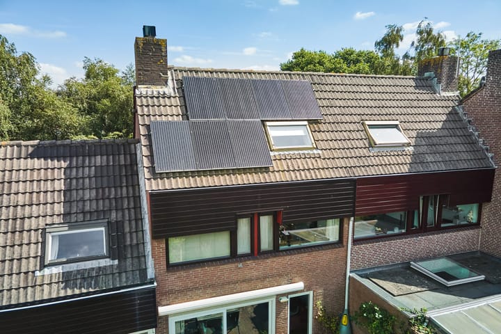 Foto 64 van Heelblaadjespad 9