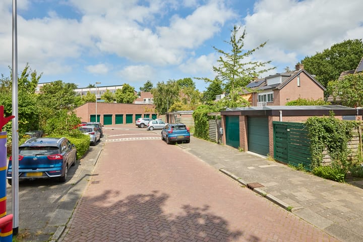 Foto 66 van Heelblaadjespad 9