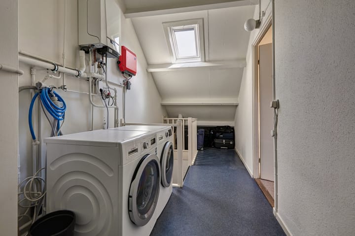 Foto 50 van Heelblaadjespad 9