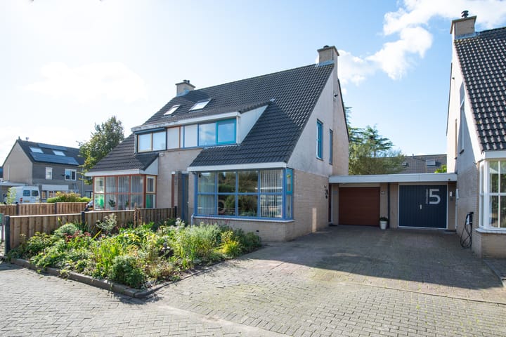 Foto 1 van Klokschildpad 3