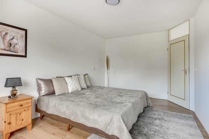 Foto 4 van Klokschildpad 3