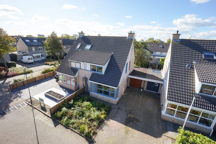 Foto 7 van Klokschildpad 3