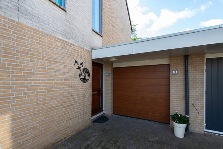 Foto 9 van Klokschildpad 3