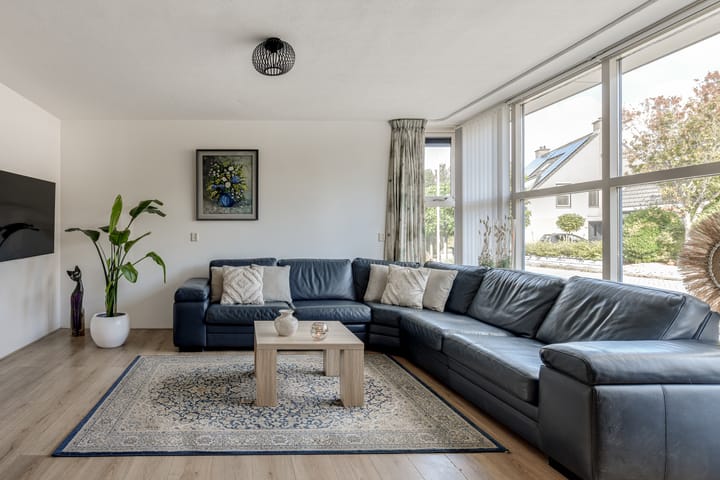 Foto 12 van Klokschildpad 3