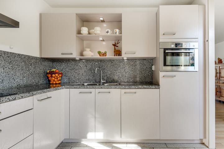 Foto 18 van Klokschildpad 3