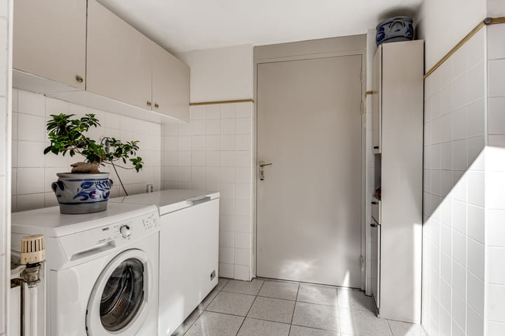 Foto 19 van Klokschildpad 3