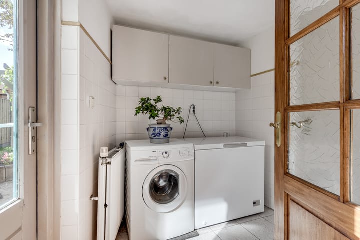 Foto 20 van Klokschildpad 3