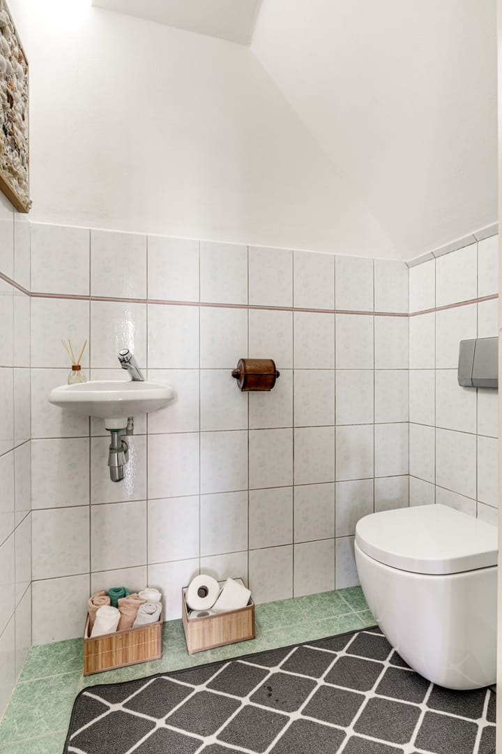 Foto 21 van Klokschildpad 3