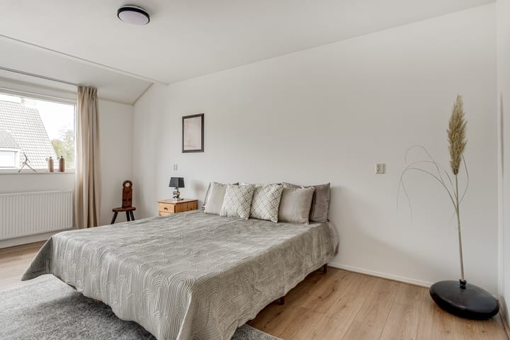 Foto 22 van Klokschildpad 3