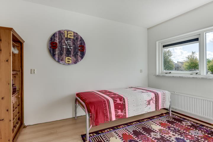 Foto 27 van Klokschildpad 3