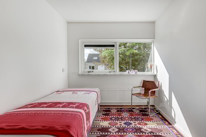 Foto 28 van Klokschildpad 3