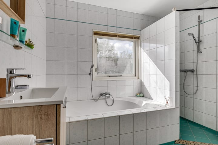 Foto 5 van Klokschildpad 3