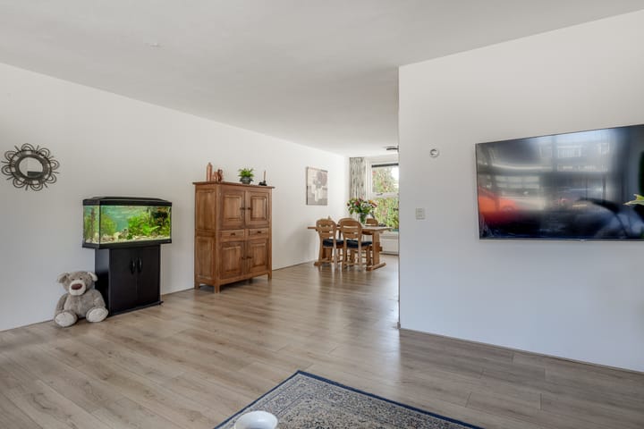 Foto 13 van Klokschildpad 3