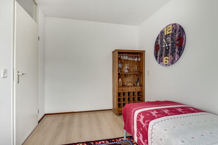 Foto 29 van Klokschildpad 3