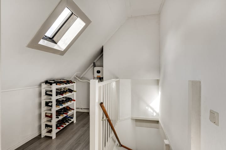 Foto 33 van Klokschildpad 3