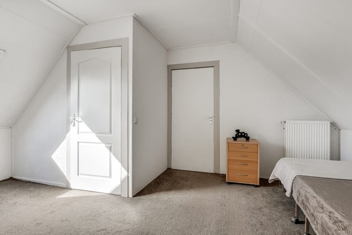 Foto 36 van Klokschildpad 3