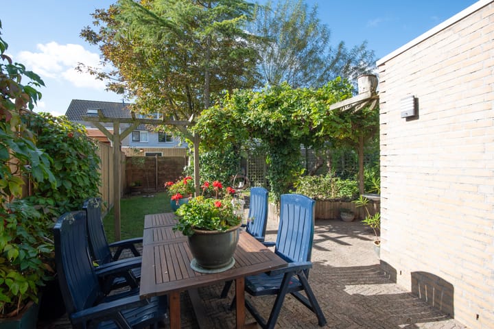 Foto 37 van Klokschildpad 3