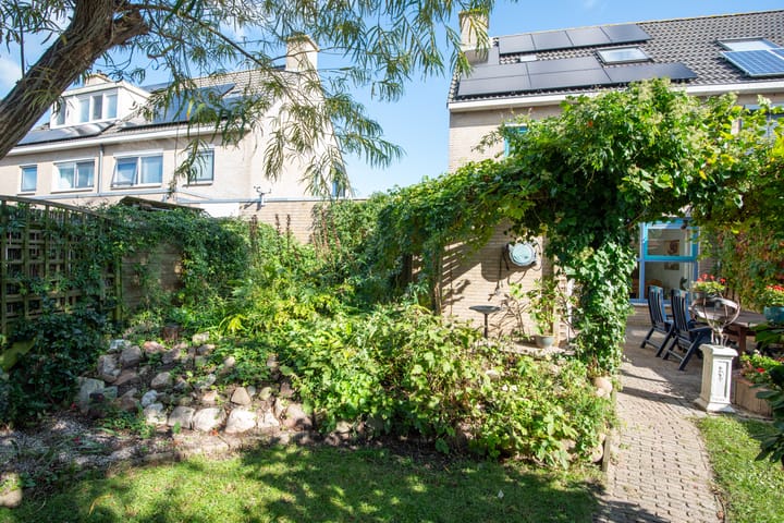 Foto 43 van Klokschildpad 3