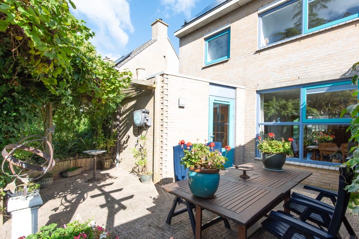 Foto 45 van Klokschildpad 3