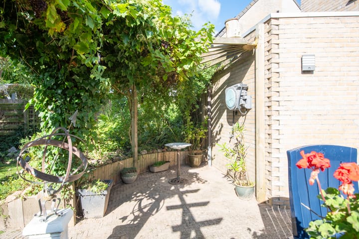 Foto 46 van Klokschildpad 3