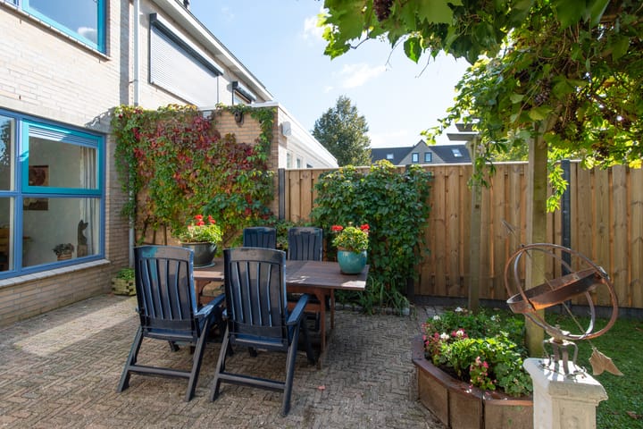 Foto 47 van Klokschildpad 3