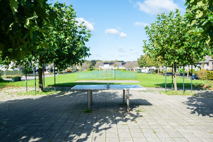 Foto 48 van Klokschildpad 3