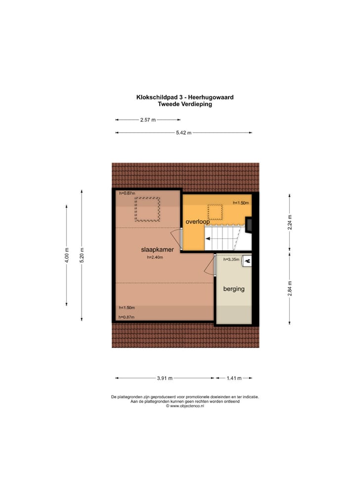 Foto 52 van Klokschildpad 3