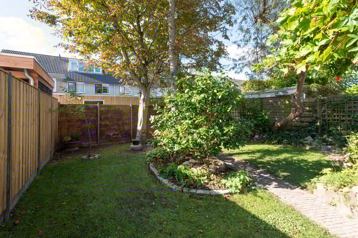 Foto 38 van Klokschildpad 3