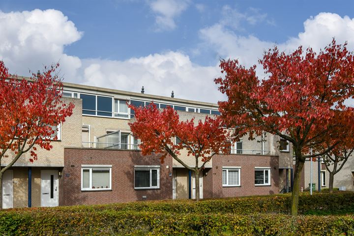 View photo 37 of Twijnderstraat 118