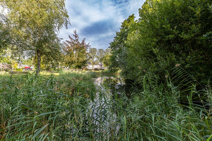 Bekijk foto 32 van Zuiderweg 301