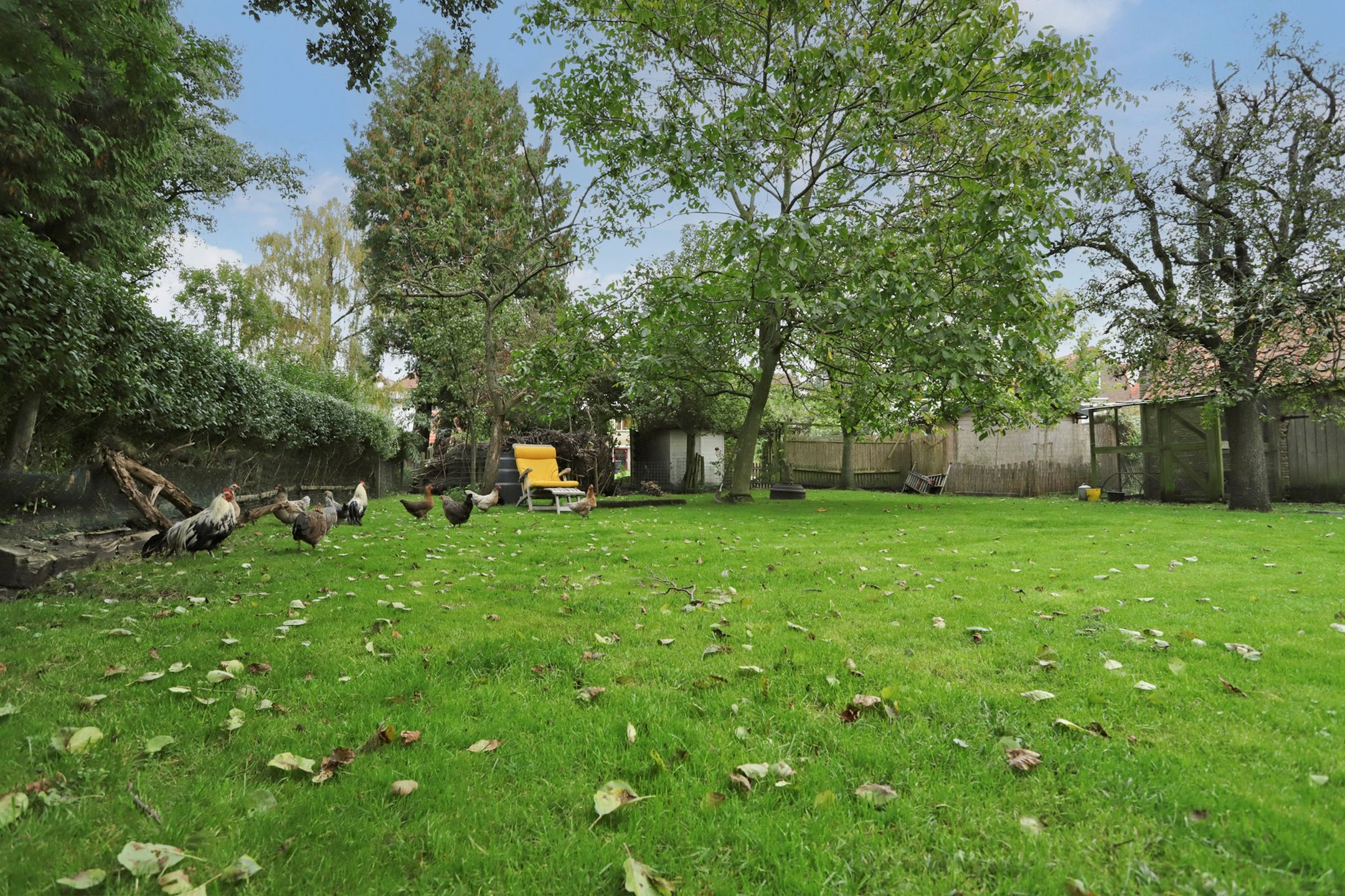 Foto 57 van Kerkstraat 17