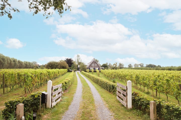 Foto 1 van Gravenstraat 27