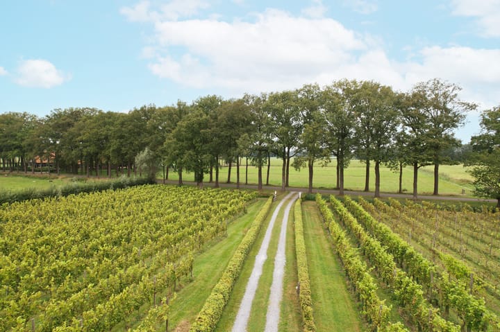 Foto 42 van Gravenstraat 27