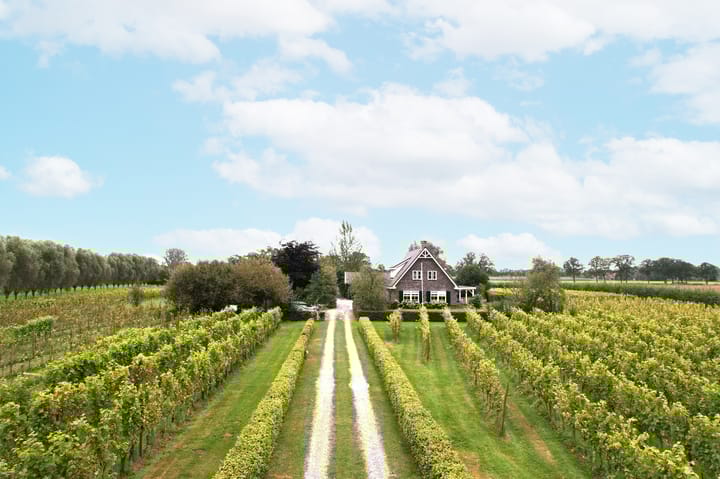 Foto 43 van Gravenstraat 27